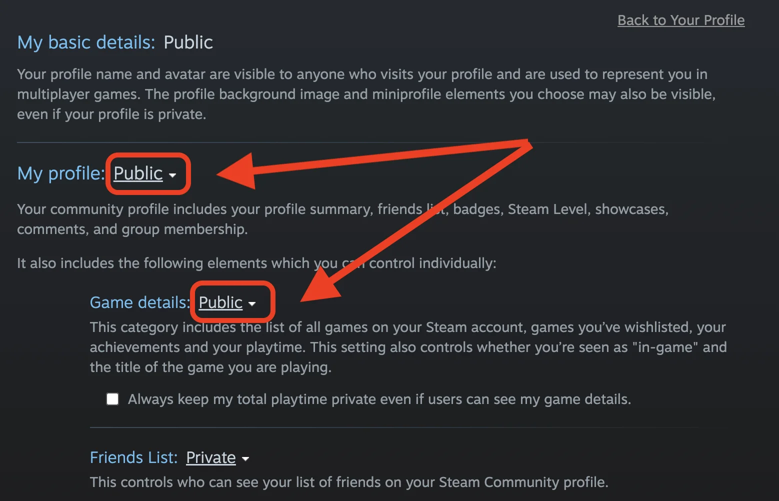 Steam visibility settings