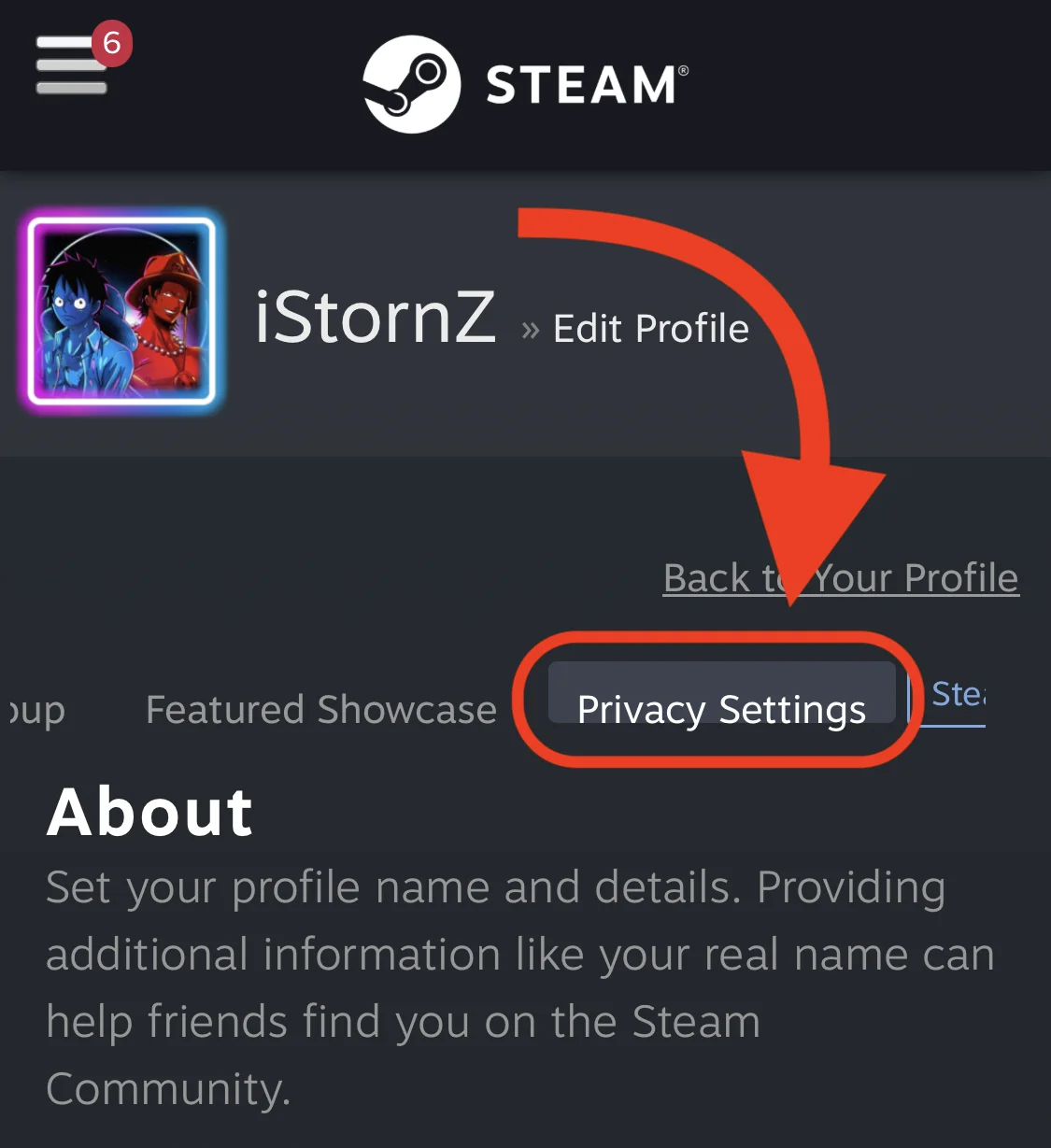 Steam mobile privacy options